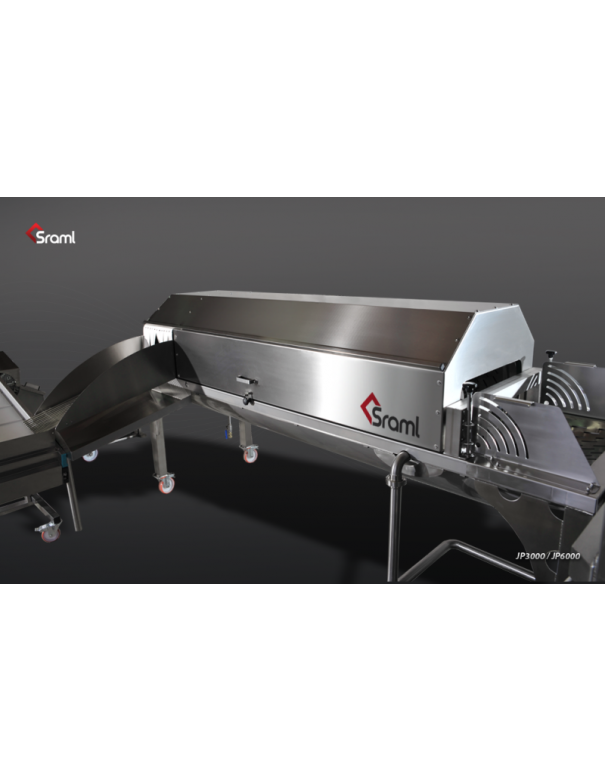 Laveuse de fruits Laveuse de fruits