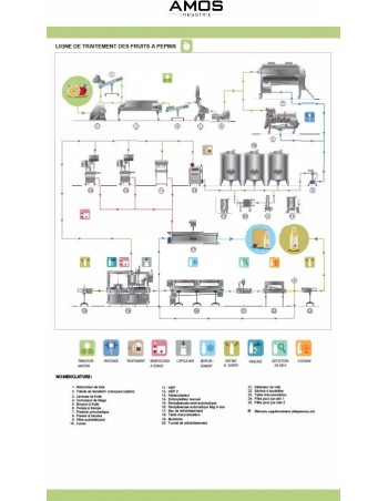 Transformation des fruits à pépins