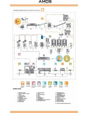 Transformation des fruits à noyau