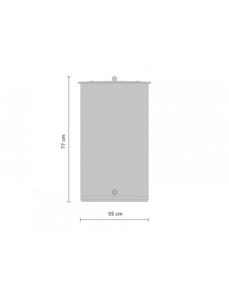 Cuve Inox Saftfass 170 L